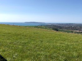 View from the tent