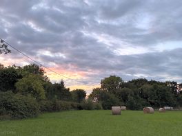 View from our campervan