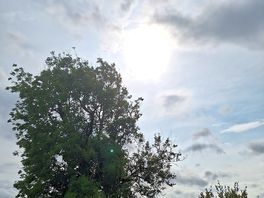 Sunshine