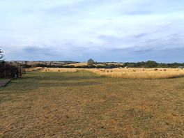 Field
