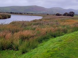 View's of the river