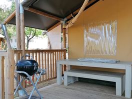 Barbecue a gas