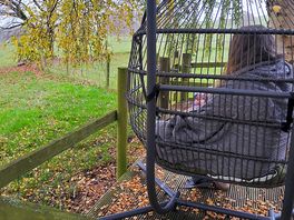 Swing chair