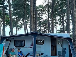 Pitched among the pine trees