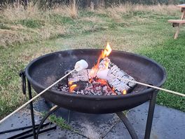 Toasting marshmallows