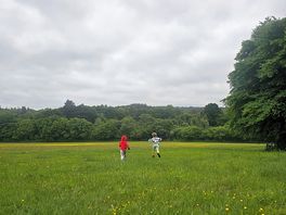 Plenty of space for kids to run free