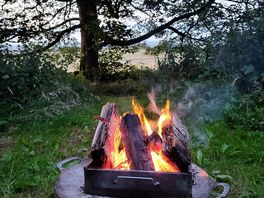 Gave up on our rubbish bbq, lovely campfire instead