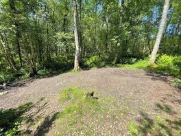 Woodland pitch 4 without tent
