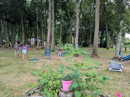Woods with mini golf and zip line