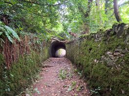Ashley combe tunnels, porlock weir