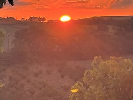 Sunset from vineyard