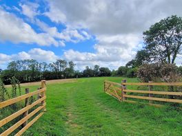 The other field
