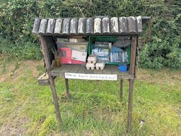 Fresh eggs for sale