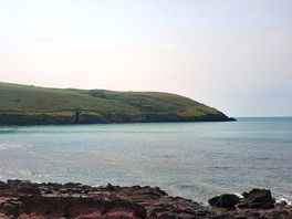 Local beach