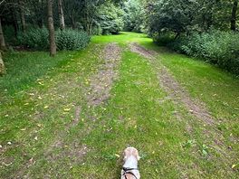 Walks nearby