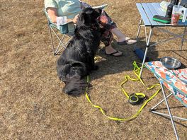 Molly enjoying camping