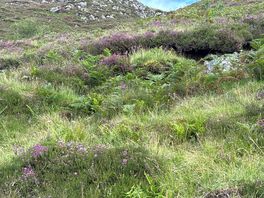 Wandeling ben nevis