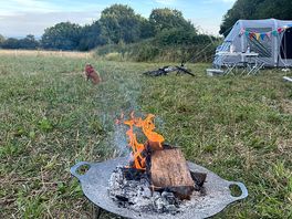 Evening fire