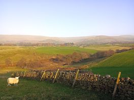 Walks around village