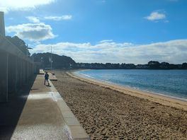View of the beech looking towards the campsite