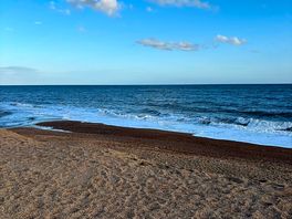 Freshwater beach