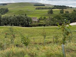 Valley view