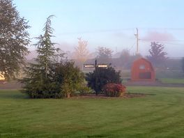 Morning mist