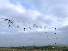 Yet more broken lights