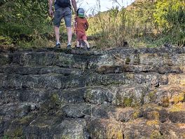Into the valley