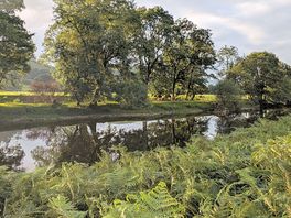 River where you will see kingfishers.