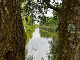 River view