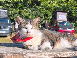 Chilling in the sun, a relaxed way of life here