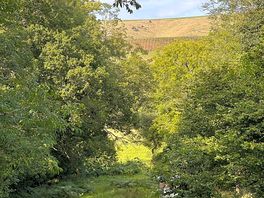Views of the trainline
