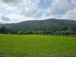 Big field