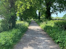 A local walk