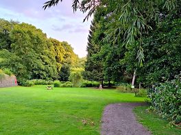 Meadow on site