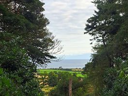 View from sherringham park