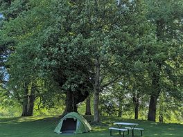 Tent area