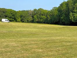 View of the field
