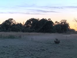 A beautiful evening low mist in the next door field at sunset