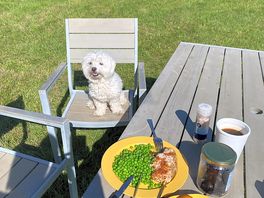 Had something on the table and chairs already provided 👌
