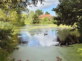 Lovely pond.