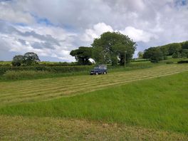 Spacious field