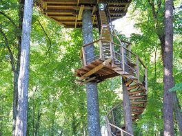Lemuriens treehouse