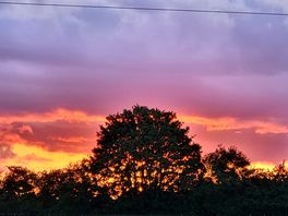 Sunset over the fields