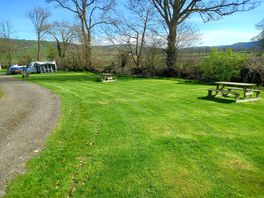 Lots of green
