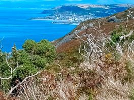 Coastal walks
