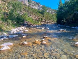 Como disfrute en el rio