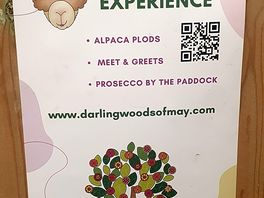 Expeiences