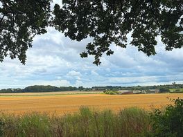 The surroundings